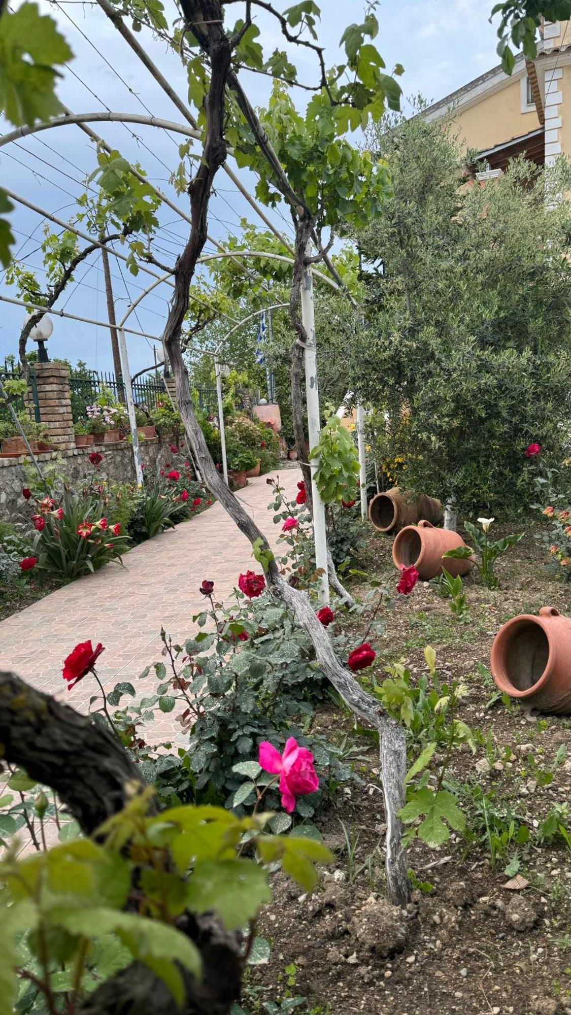 Apidalos Naus Apartment Corfu  Bagian luar foto
