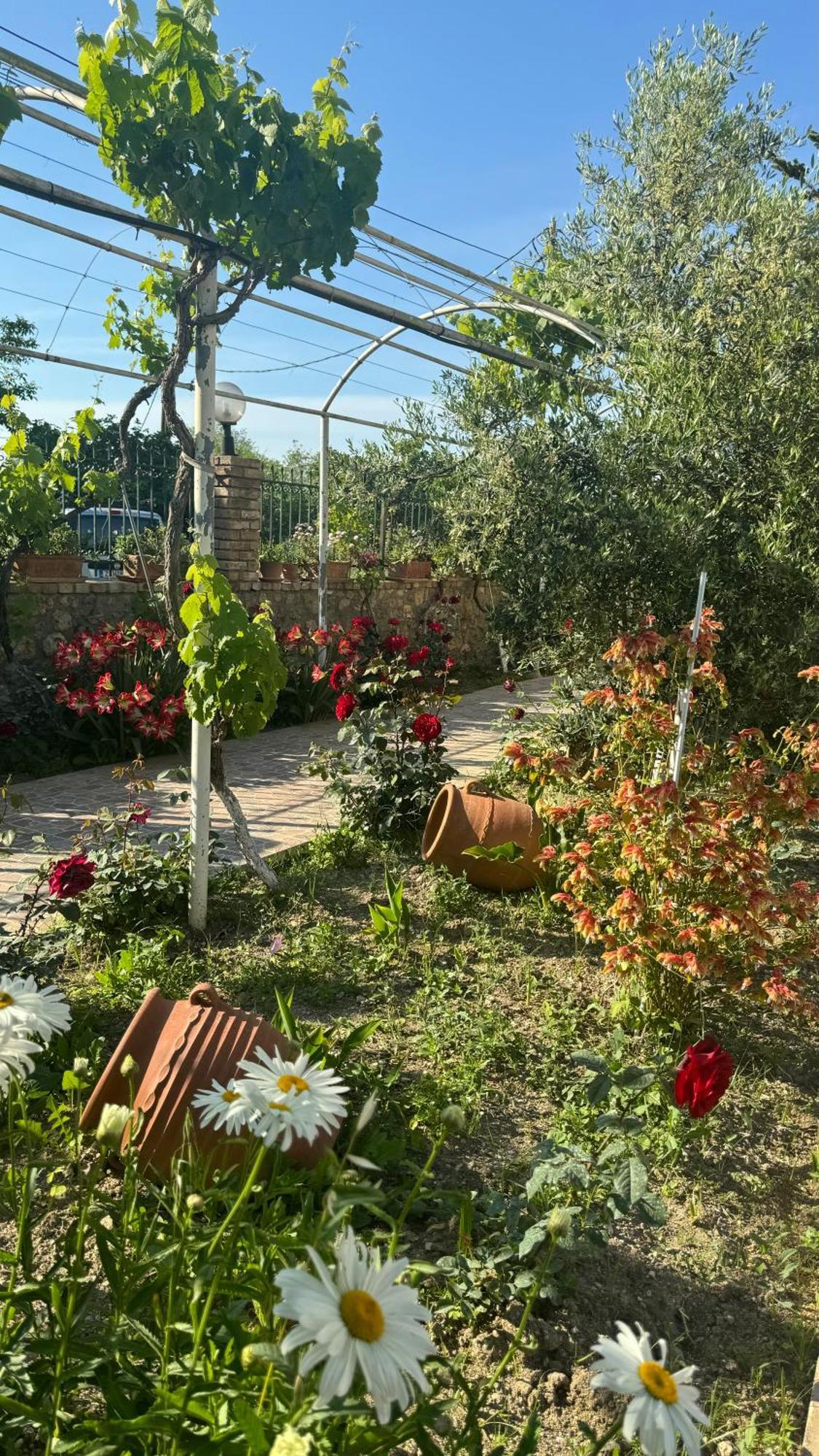 Apidalos Naus Apartment Corfu  Bagian luar foto