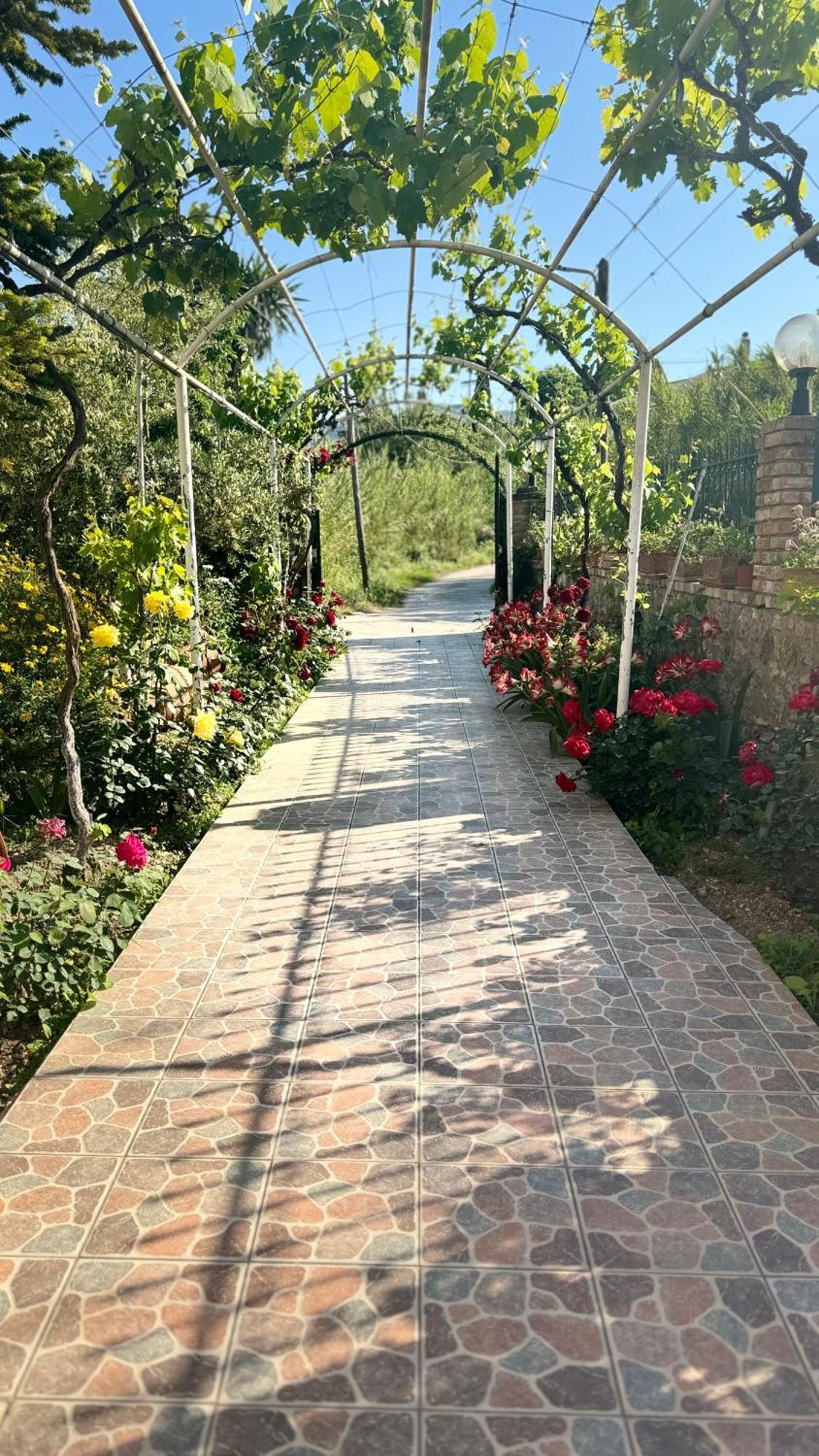 Apidalos Naus Apartment Corfu  Bagian luar foto